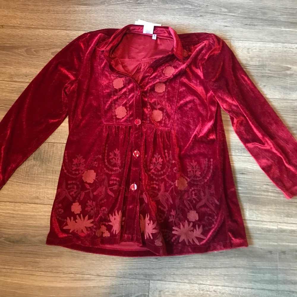 Parsley and Sage velvet top